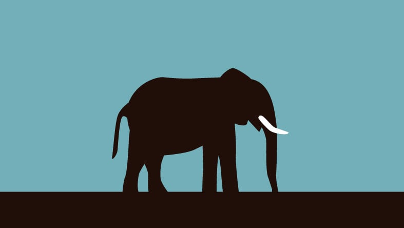 zoo companyのカバー画像